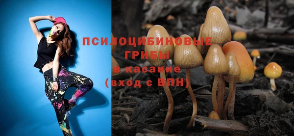 PSILOCYBIN Бородино